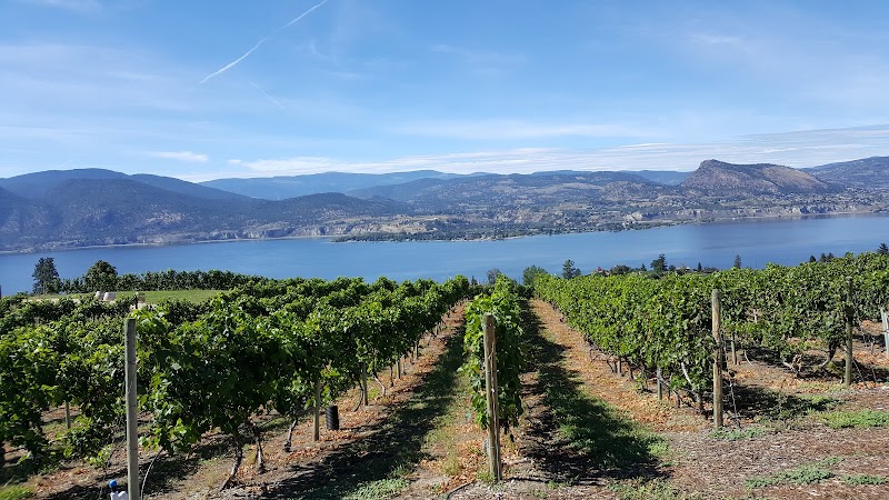 Lang Vineyards 2