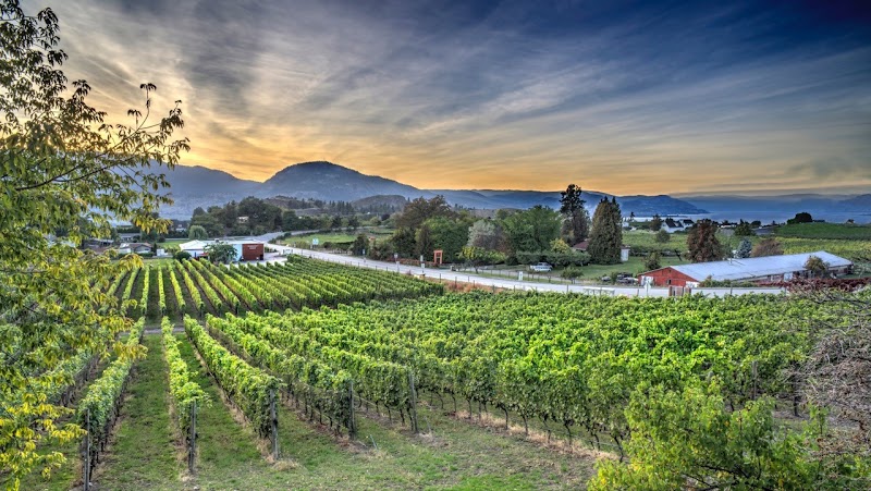 Township 7 Vineyards & Winery - Naramata Bench 2