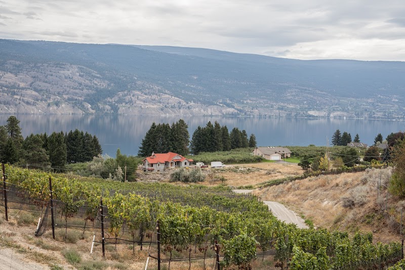 Sage Hills Estate Winery and Vineyards 3