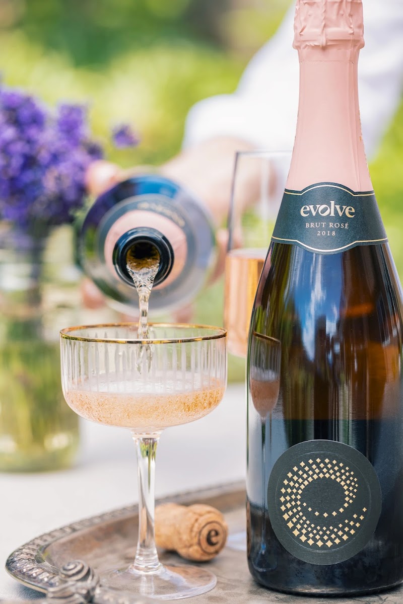 Evolve Sparkling House 4