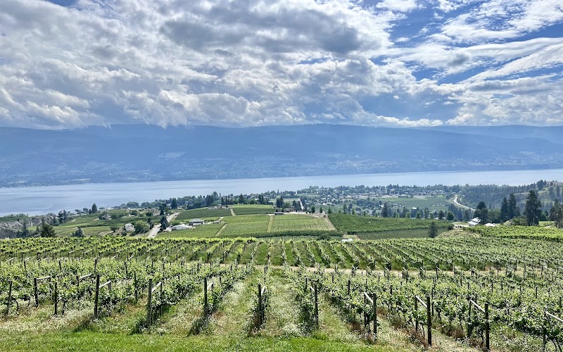 Lightning Rock Winery 2