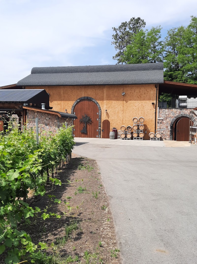 Serendipity Winery 3