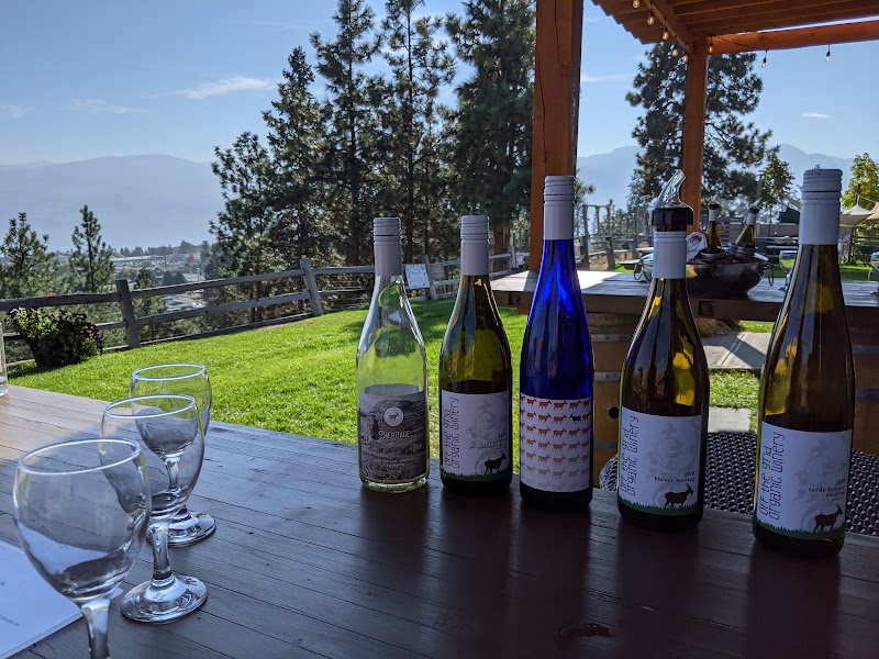 Off The Grid Organic Winery 2