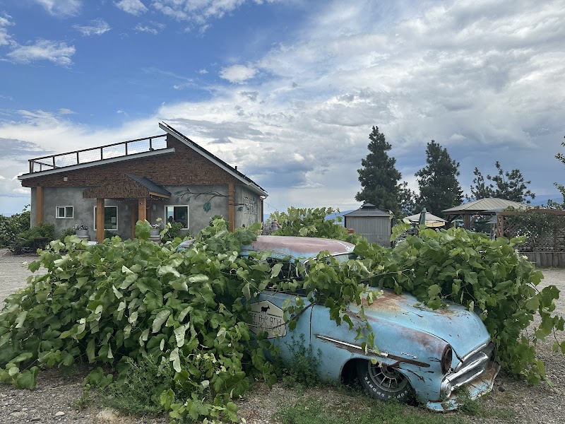 Off The Grid Organic Winery 3