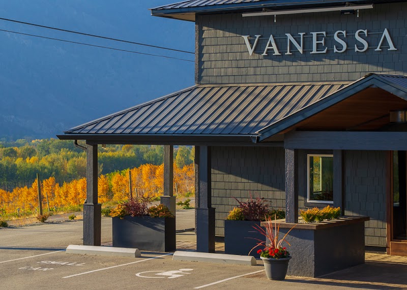 Vanessa Vineyard 4