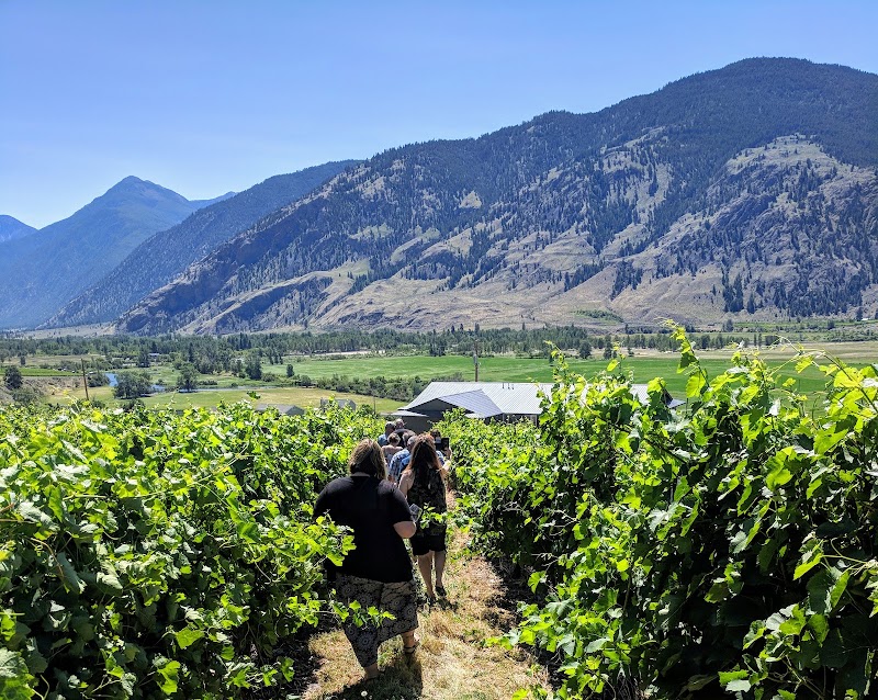 Vanessa Vineyard 5