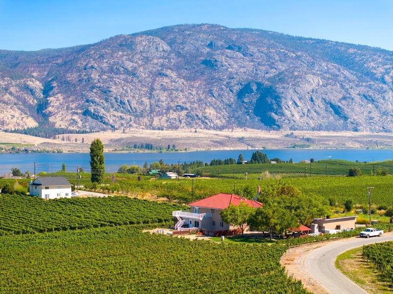Mythology Vineyard