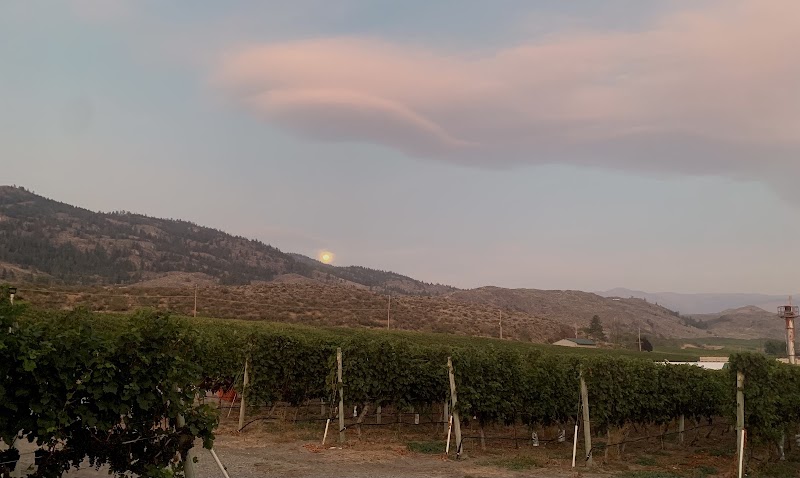 Mythology Vineyard 3