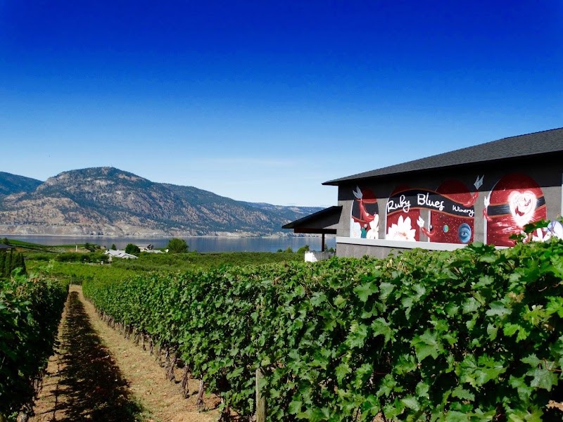 Ruby Blues Winery 3