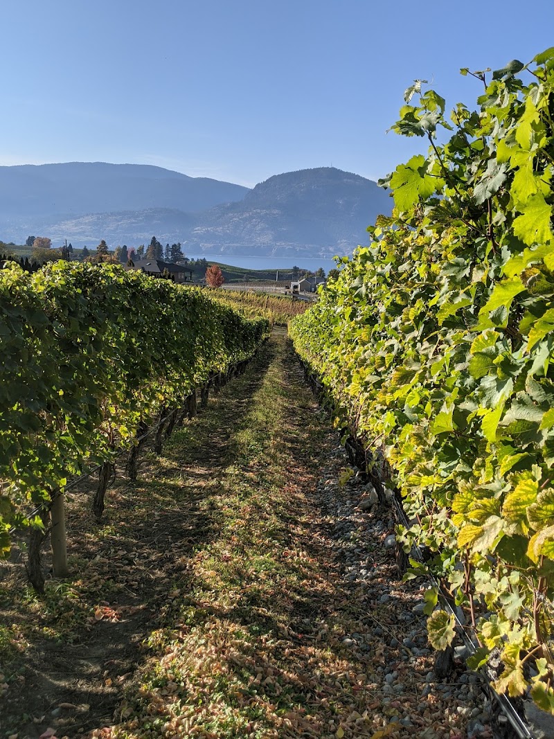 Ruby Blues Winery 4