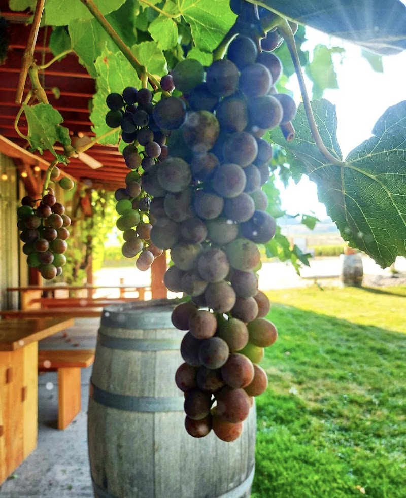 Stoneboat Vineyards 4