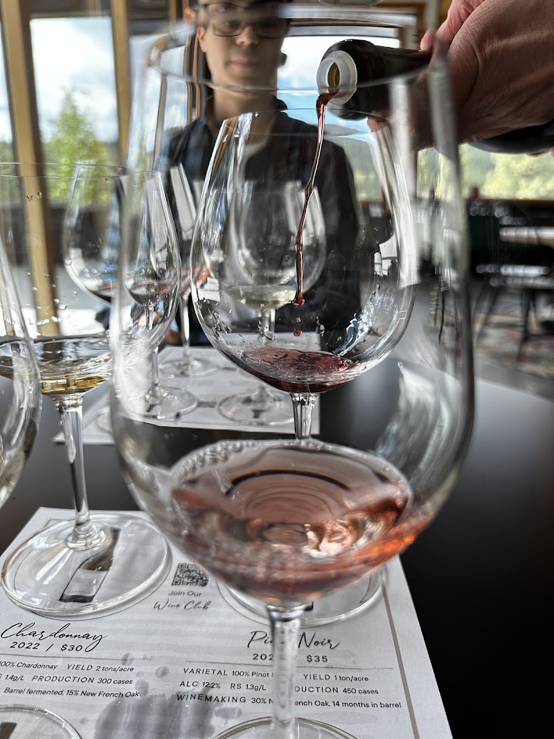 Solvero Wines 5