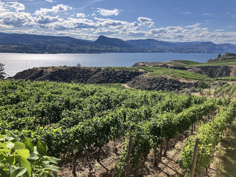 Marichel Winery