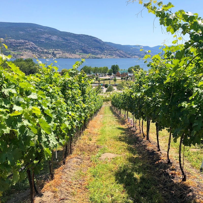Play Estate Winery