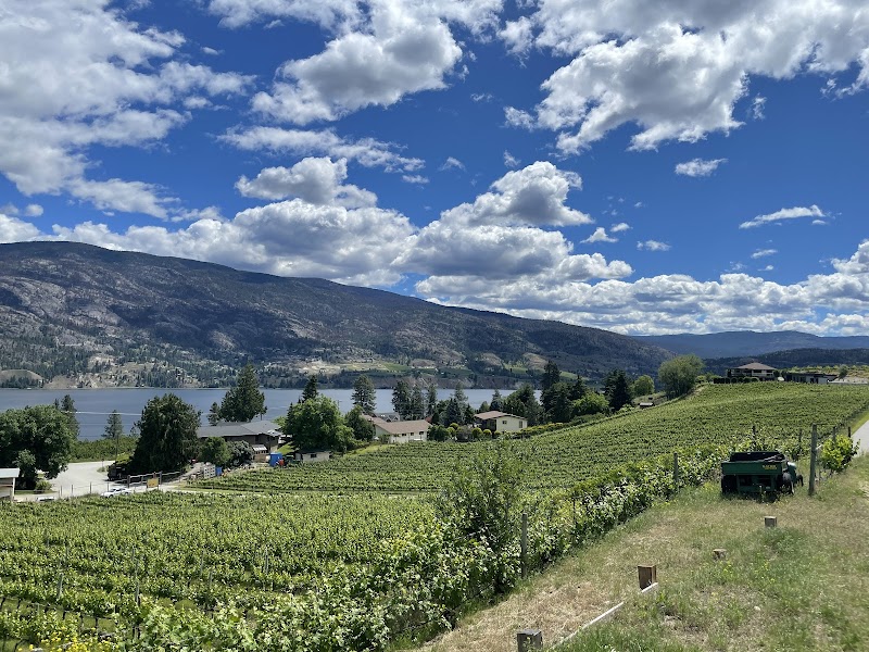 Black Market Wine Co. 4