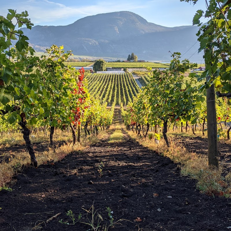 Maverick Estate Winery 5