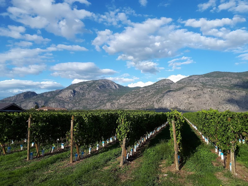 Bordertown Vineyards & Estate Winery 3