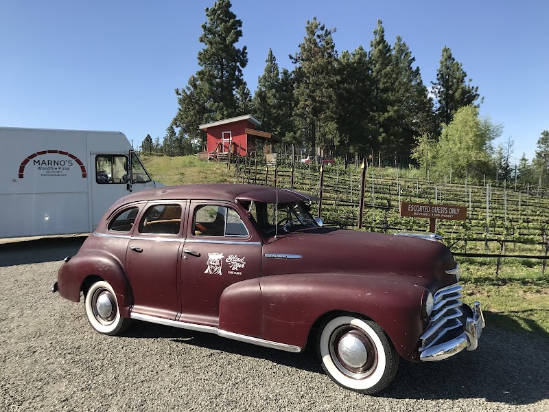Blind Tiger Vineyards 3