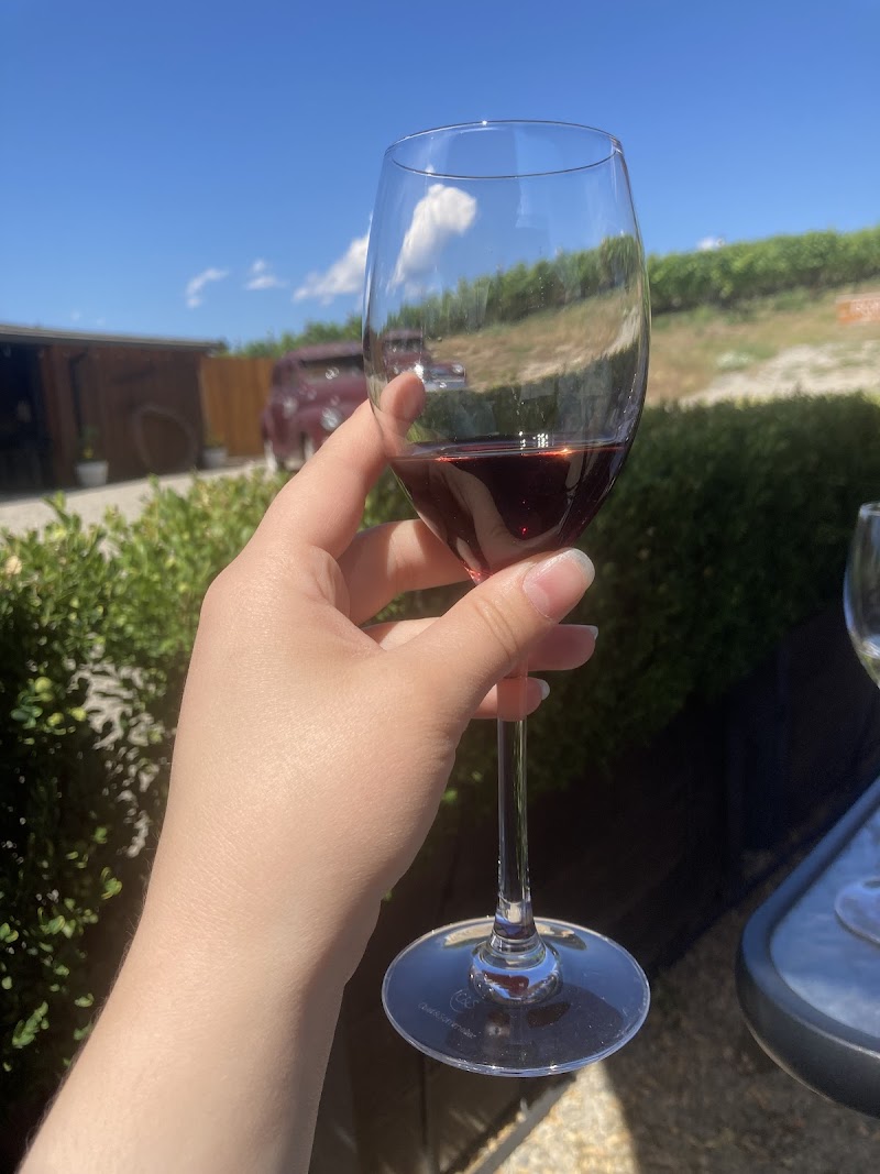 Blind Tiger Vineyards 5