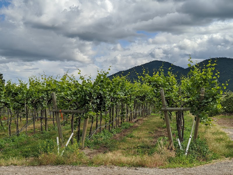 Giant Head Estate Winery Ltd. 2