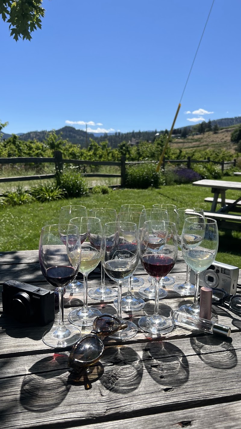 Sleeping Giant fruit winery 5