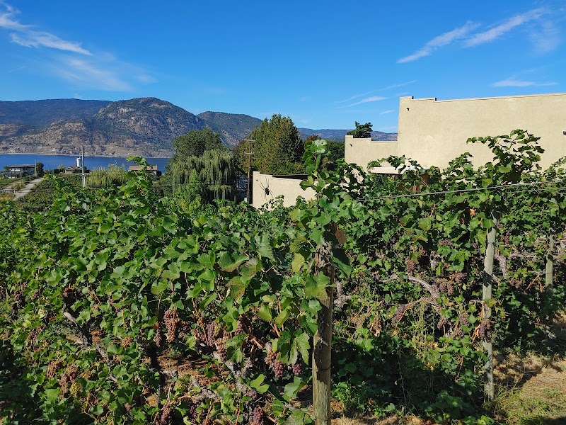 Black Widow Winery 4