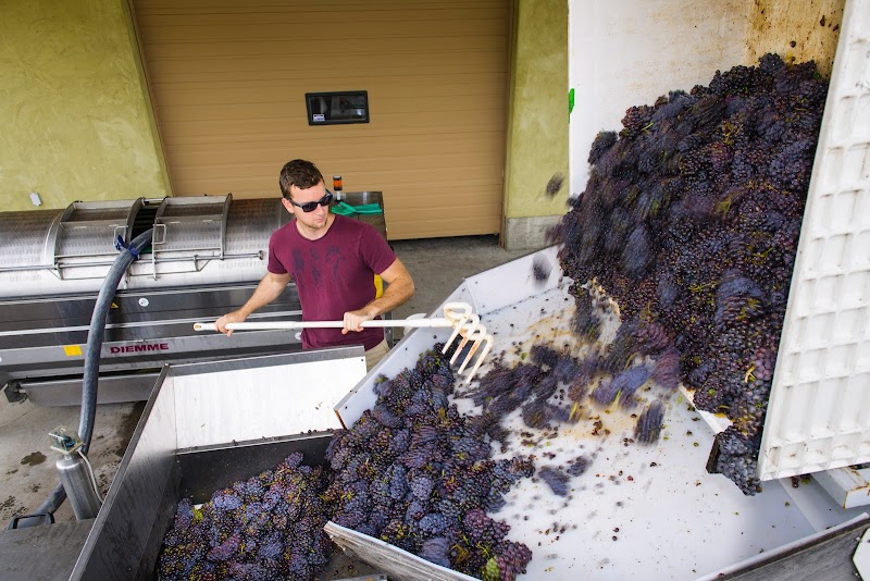 Black Widow Winery 5