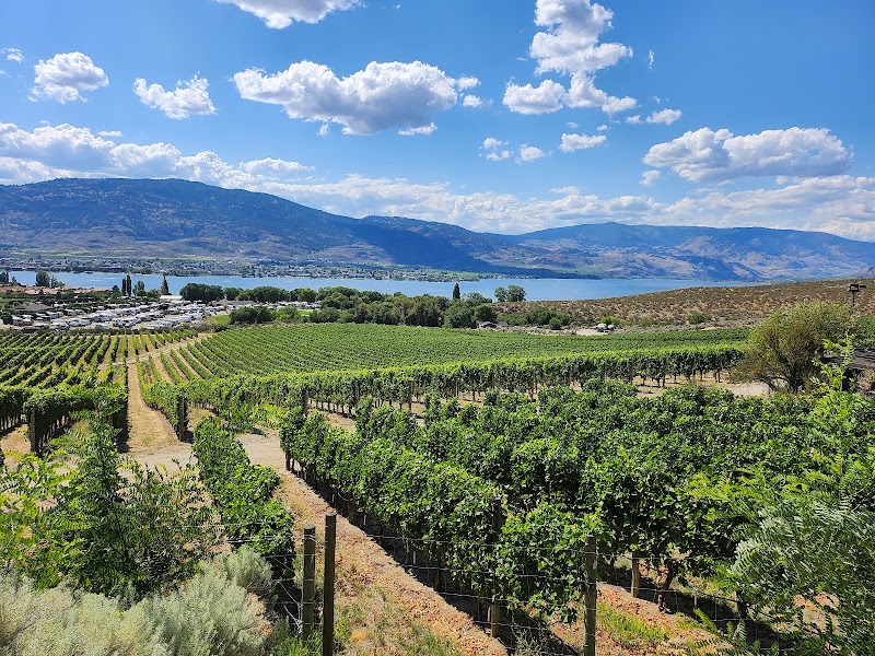 Nk'Mip Cellars