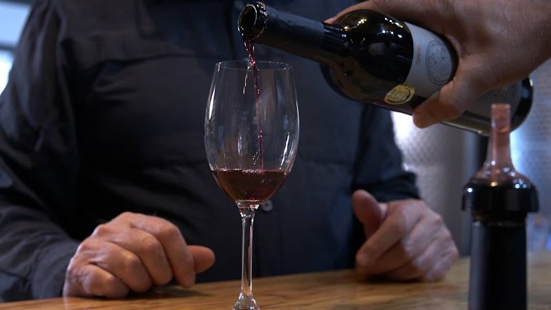 Kalala Organic Estate Winery 5