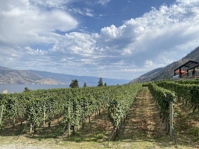 Fitzpatrick Family Vineyards at Greata Ranch 3