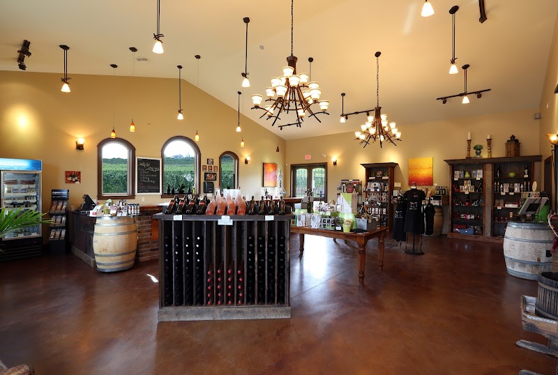 Intrigue Wines 3