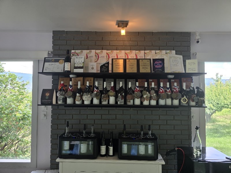 Silkscarf winery 5