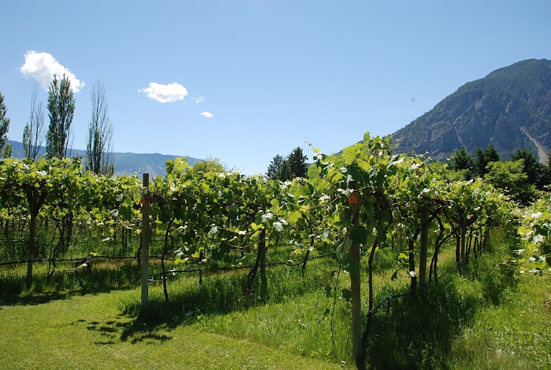 Robin Ridge Winery 2