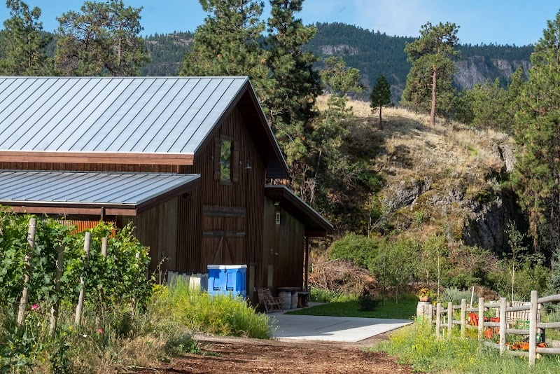 Echo Bay Vineyard