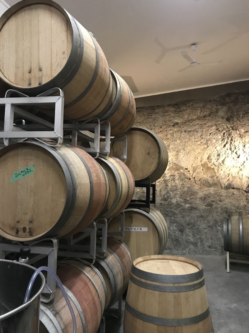 Echo Bay Vineyard 3