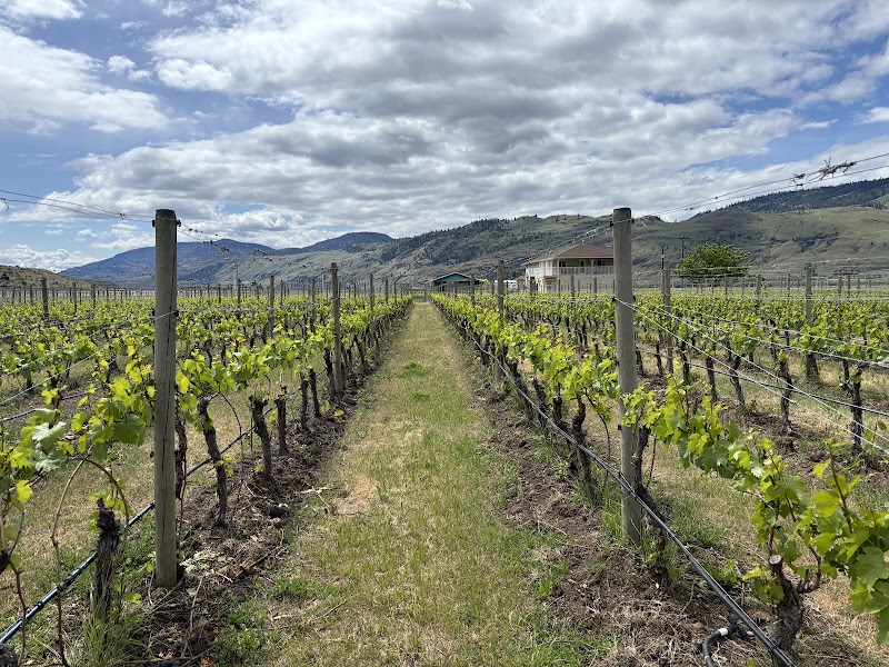 Bartier Bros. Vineyard & Winery 5
