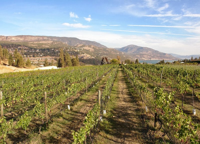 Rollingdale Winery Inc 2