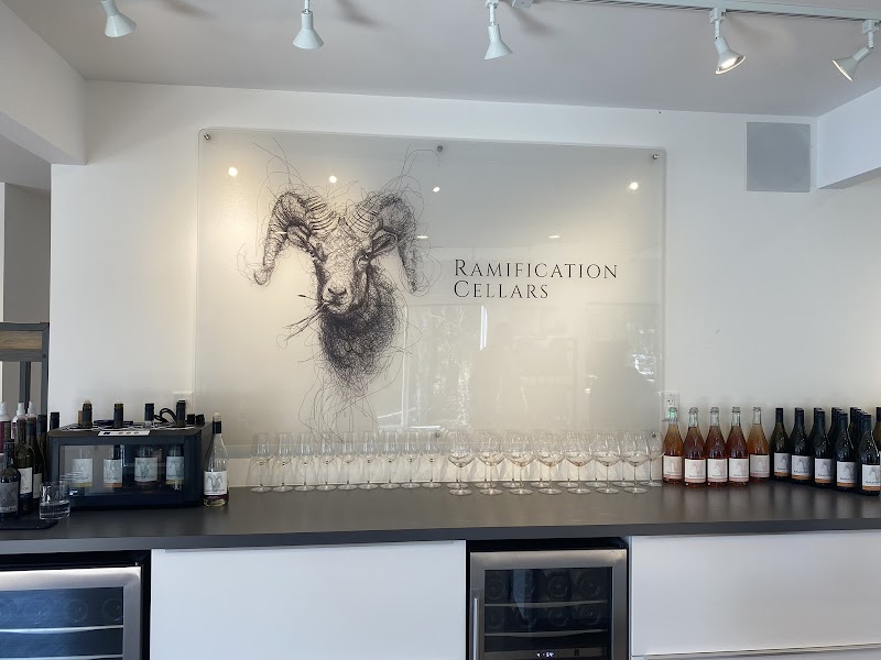 Ramification Cellars 2