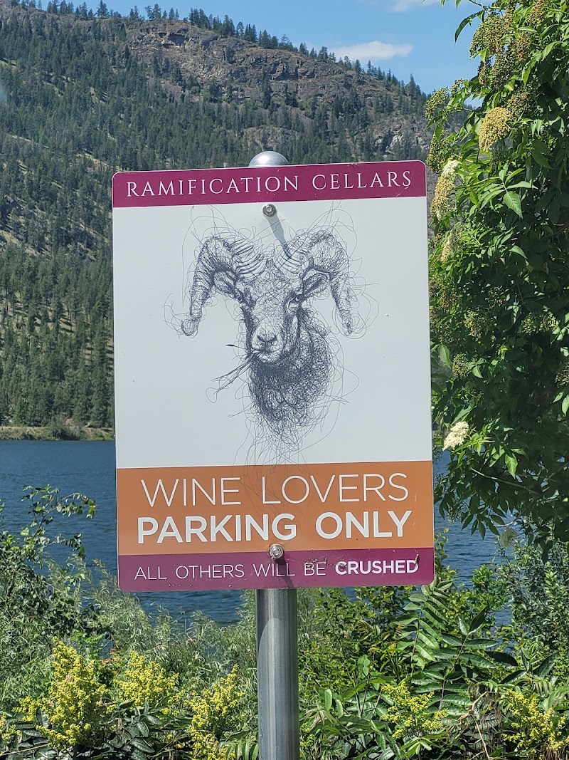 Ramification Cellars 3