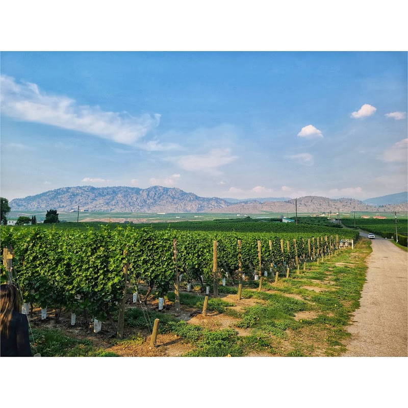 Kismet Estate Winery 3