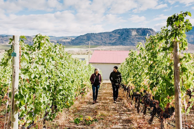 Gold Hill Winery 2