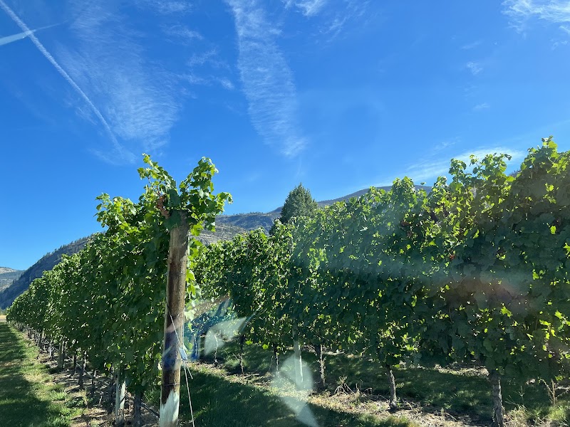 Jackson Triggs Okanagan Estates 2