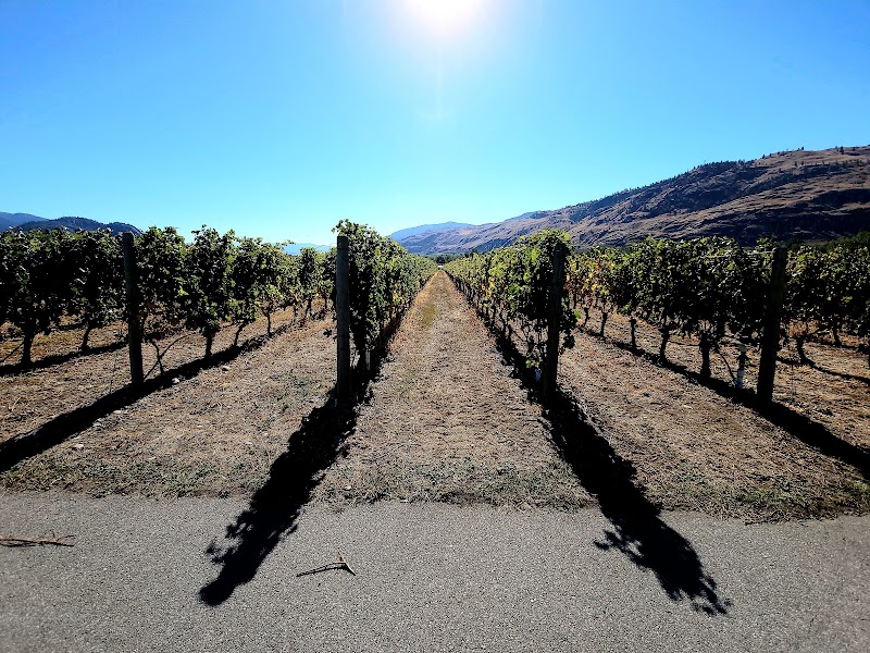 Church & State Wines 3