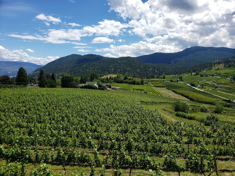 Thornhaven Estates Winery 2