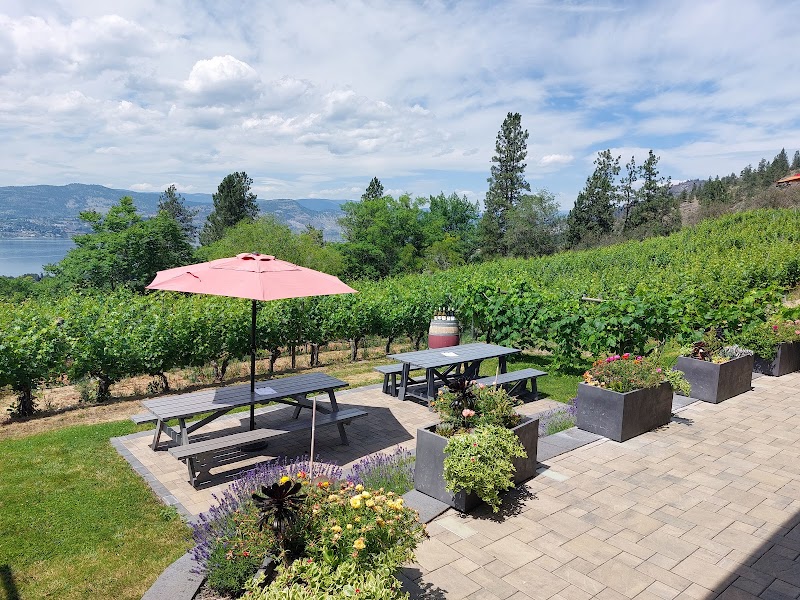 Nichol Vineyard 4