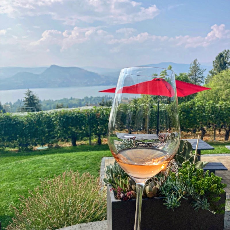Nichol Vineyard 5
