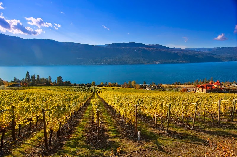 Gray Monk Estate Winery 2