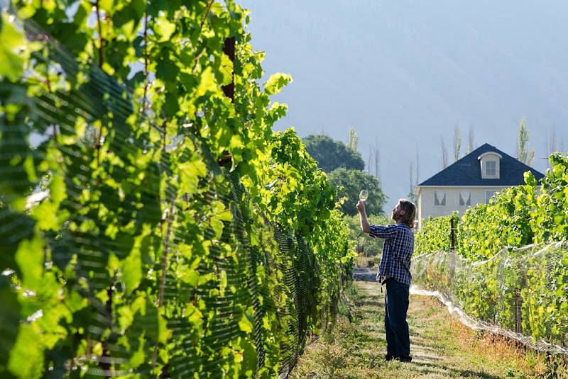 Eauvivre Winery & Vineyards Ltd. 2