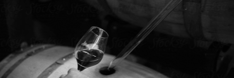 Spacedog Wines