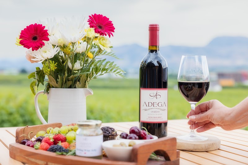 Adega On 45th Estate Winery 5